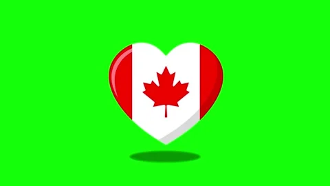 Canada flag animated bouncing heart-shaped flag with maple leaf pulse loop .. Stock Footage 345505526