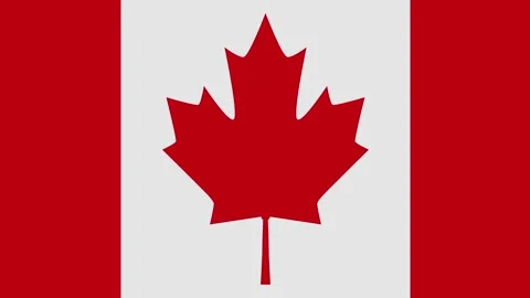 Canada flag with animated light sweep Stock Footage 309883526