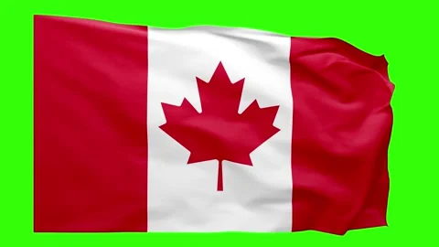 Canada Flag Animation – Seamless Loop (4K UHD) Stock Footage 317624066