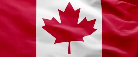 Canada Flag Animation – Seamless Loop (4K UHD) Stock Footage 317624076