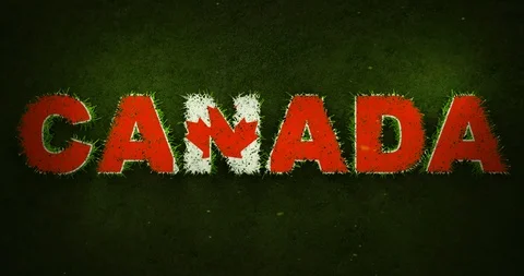 Canada Flag is Appearing Over Growing Grasses Stock Footage 101744727