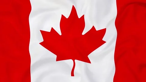 Canada Flag Background, Canada waving flag Texture background Stock Footage 283364945