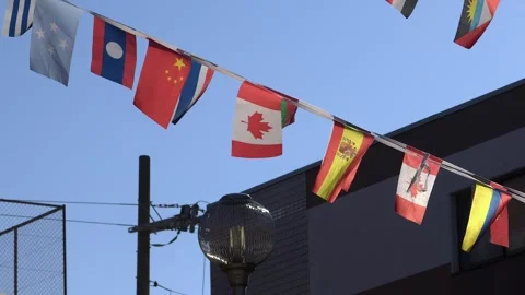 Canada flag banner centered in string of flags hanging in the street Video stock 324942783
