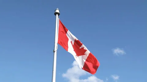 Canada Flag blowing in the wind with birds 스톡 동영상 35699365