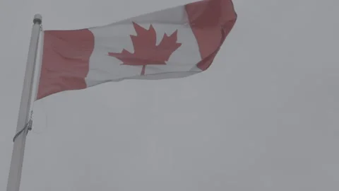 Canada Flag Blowing in the Wind Stock Footage 146105561