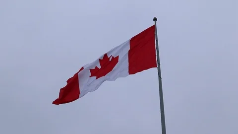 Canada Flag Blowing in Wind Maple Leaf Red and White Real Time Motion Stock Footage 127179028