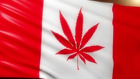 Canada Flag Cannabis Stock Footage 123289344