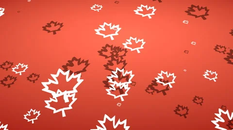 Canada flag elements flying Stock-Footage 55515625