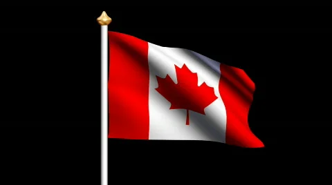 Canada flag Video stock 563507