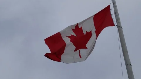 Canada Flag Stock Footage 90872028