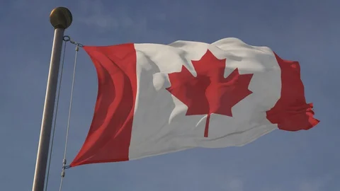 Canada Flag 库存影片 128549586