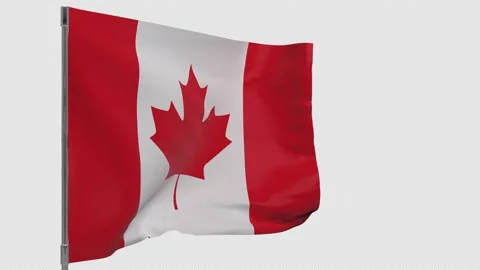 Canada flag Stock Footage 148028683
