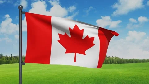 Canada Flag Video stock 151861945