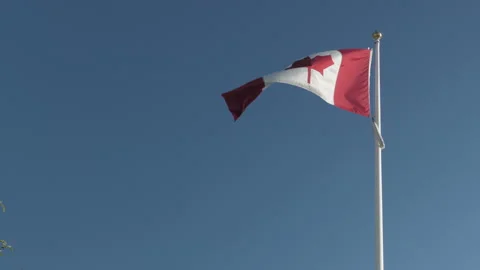 Canada Flag Video stock 157461981