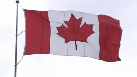 Canada flag - full frame Stock Footage 11824685