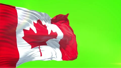 Canada Flag in Green Screen Stock Footage 328532336