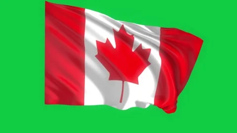 Canada Flag Green Screen - Waving Flag Animation Stock Footage 339615539