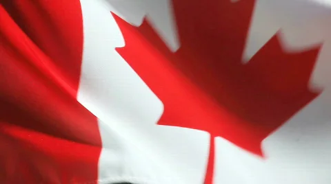 Canada flag in high winds Stock-Footage 656615