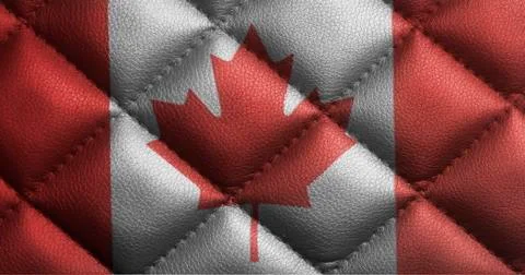 Canada flag on leather texture Stock Photos