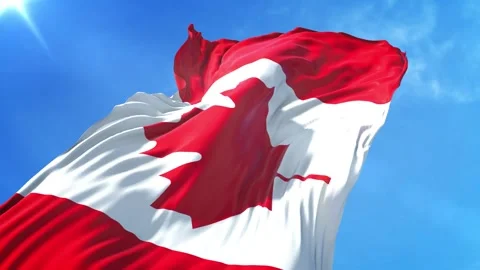 Canada Flag Low Angle View Stock Footage 295744565