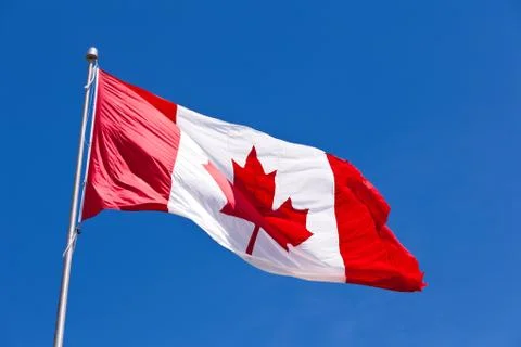 Canada flag maple leaf flies light wind Foto stock