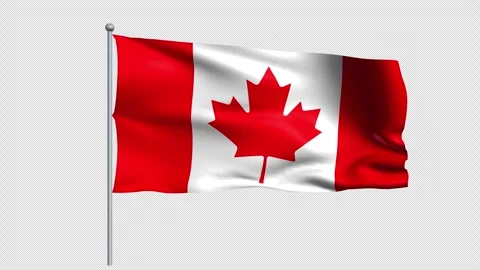 Canada flag - Pack 1 Stock Footage 339099454