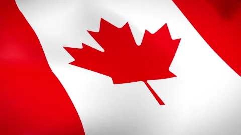 Canada Flag - Pack 2 Stock Footage 339099384
