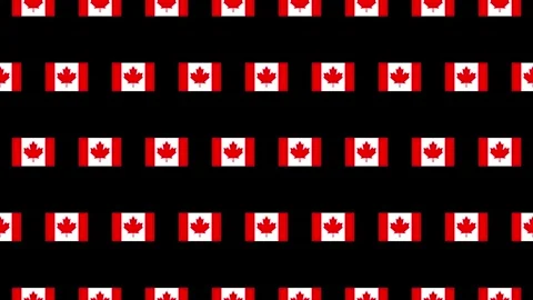 Canada flag pictogram loop animation on black background Stock Footage 333614283