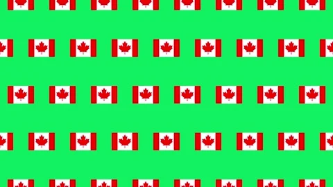 Canada flag pictogram loop animation on green screen Stock Footage 333618409