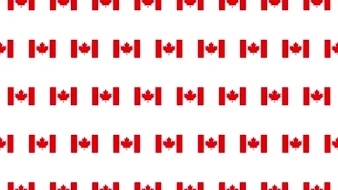 Canada flag pictogram loop animation on white background Stock Footage 333618410