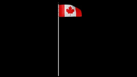 Canada Flag on Pole with Alpha Channel 库存影片 87221970