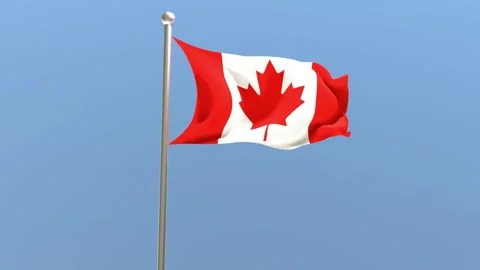 Canada flag on pole Stock Footage 314908305