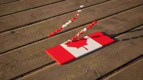 Canada Flag - Slow Motion Stock Footage 318731289
