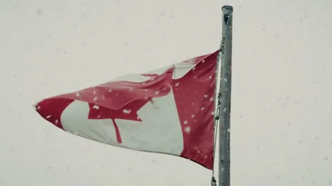 Canada Flag In Snow Storm 스톡 동영상 306594969
