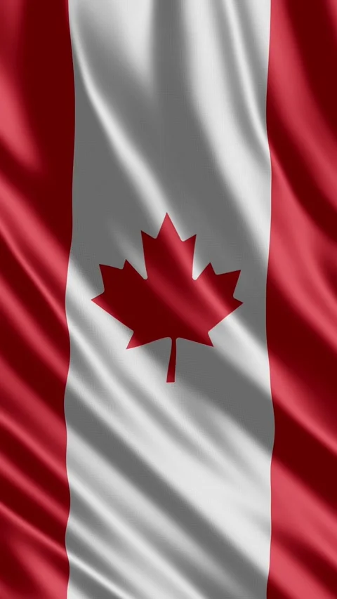 Canada Flag Vertical Animation Vidéo 340260636