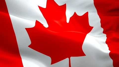 Canada flag video waving in wind. Realistic Canadian Flag background Stock Footage 102512891