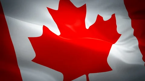 Canada flag video waving in wind. Realistic Canadian Flag background Stock Footage 102513947
