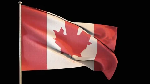 Canada flag is waving 3D animation, flag of Canada waving in the wind. National. Stock Footage 142216159