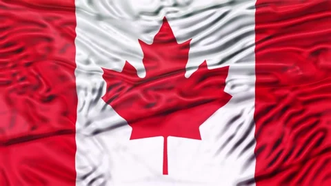 Canada Flag Waving 3D Animation Loop. 库存影片 336473735