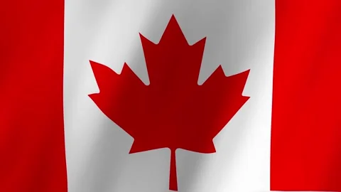 Canada flag waving animation Stock Footage 220072994