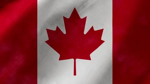 Canada flag waving background with real fabric texture 스톡 동영상 291600641
