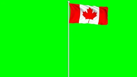 Canada Flag Waving Fluttering on Wind Loopable Green Blue Screen Matte Stock Footage 77582421