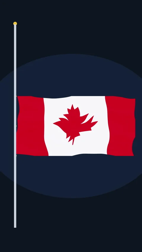 Canada flag waving loop animation red white maple leaf pole dark night Stock Footage 346638609