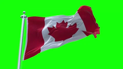 Canada Flag Waving in Loopable and Textured green screen background Stock Footage 296876529