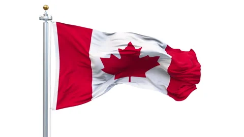 Canada flag waving looping with transparent background. Video stock 311803031