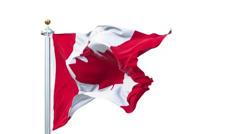 Canada flag waving looping with transparent background. Video stock 311803039