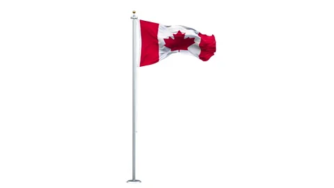 Canada flag waving looping with transparent background. Video stock 311803143