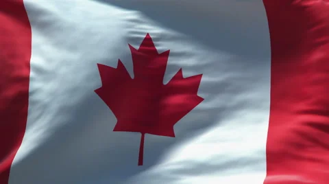 Canada flag waving seamless loop  4K Video stock 49064259