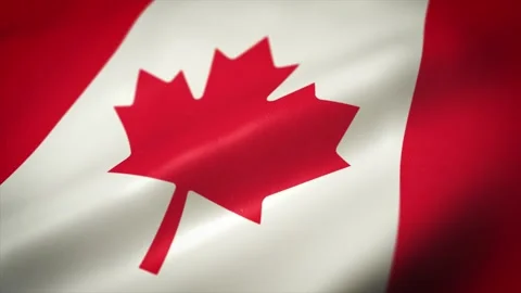 Canada Flag Waving Textured Background Loop Vídeos de archivo 146846112