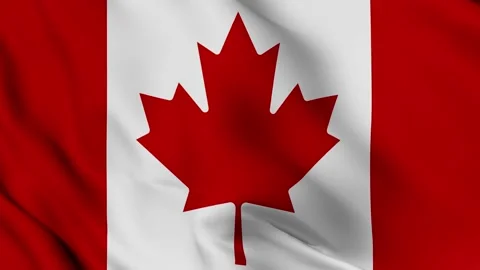 Canada flag waving in the wind 3D animation. seamless loop animation. Stock Footage 131288081